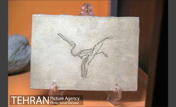 موزه علوم زمین‎ 2