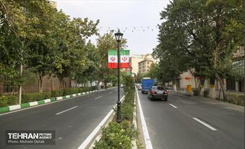 رفیوژ های همیشه سبز 10