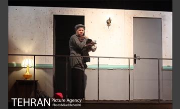 نمایش اثر پرتوهای گاما بر گل های همیشه بهار 19