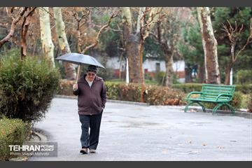 بارش باران زمستانی در تهران 6