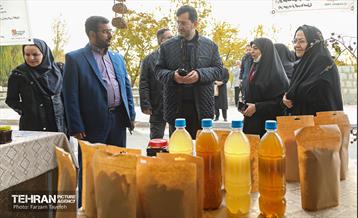 پنجمین جشنواره خرمالوی کن 25