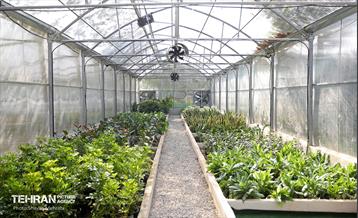 افتتاح پروژه‌های منطقه ۱۴ 16