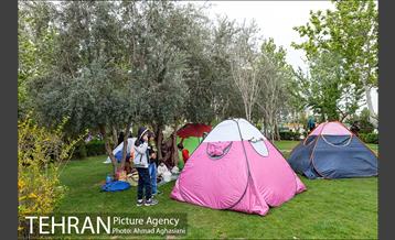 روز طبیعت بارانی در بوستان رازی 5