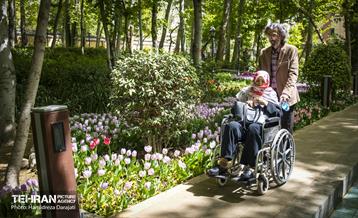 لاله های باغ ایرانی 32