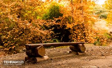 رود دره فرحزاد 38