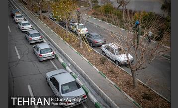 آغاز فصل هرس درختان- 2