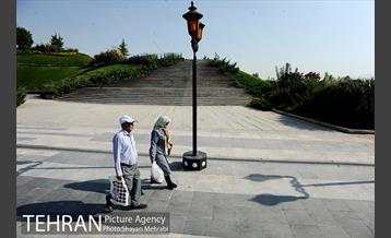 دریاچه و باغ هنر 1