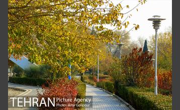 شهرک لاله 18