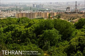 پارک جنگلی کوهسار 8