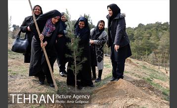 آیین کاشت درخت دانش در بوستان جنگلی چیتگر 42