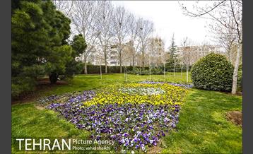 بوستان گفتگو 2