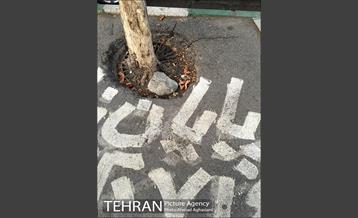 تجارت غیرقانونی "پایان نامه" 5