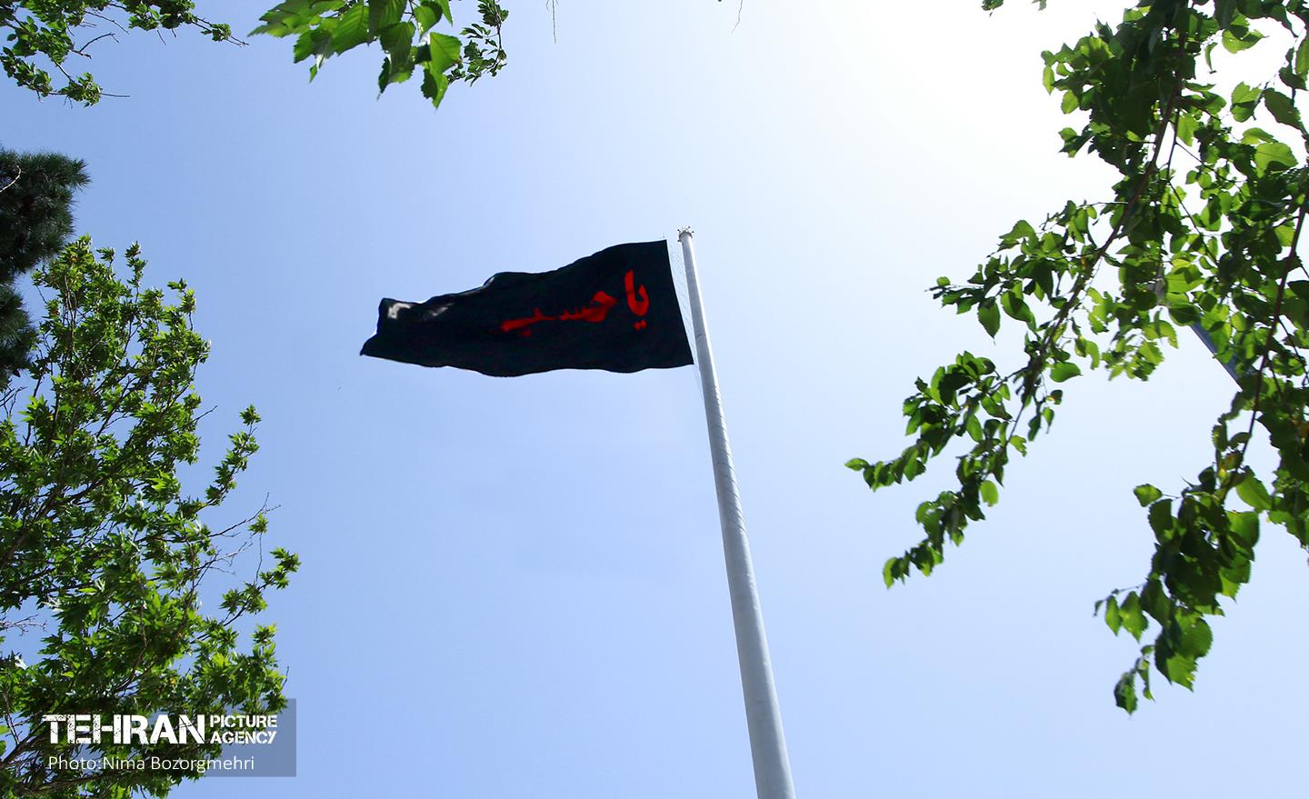 آیین سلام بر محرم