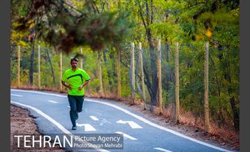 بوستان جنگلی چیتگر 36