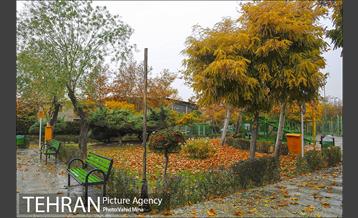 پاییز در بوستان رازی 21