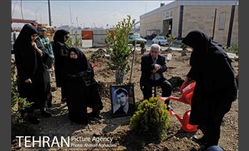 روز درختکاری در بوستان تبسم 16