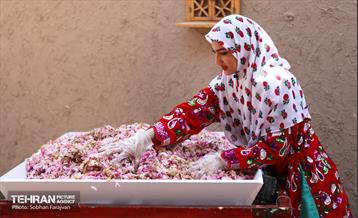 نوزدهمین جشنواره گل و گلاب تهران  20