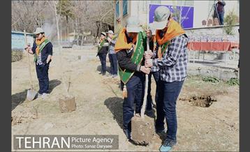 آیین درختکاری با حضور دکتر بطحایی وزیر محترم آموزش و پرورش 26