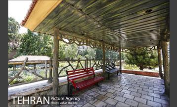 بوستان تندرستی 10