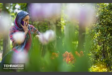 لاله های باغ ایرانی 25