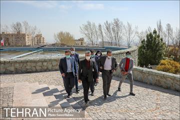مراسم درختکاری به مناسبت یادبود همکاران جانباخته کرونا در شهرداری تهران 25
