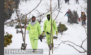 تفریحات برفی در پارک پردیسان تهران 25