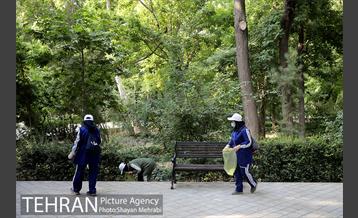 طرح پاکسازی پارک شهر تهران از فیلترهای سیگار  24
