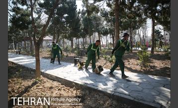 غرس نهال در بوستان بهاران 14