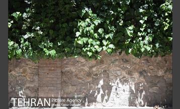 محله تجریش 30