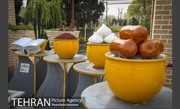 اجرای طرح استقبال از نوروز ۱۴۰۰ در منطقه 17