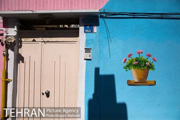 کوچه های رنگی منطقه شانزده 4
