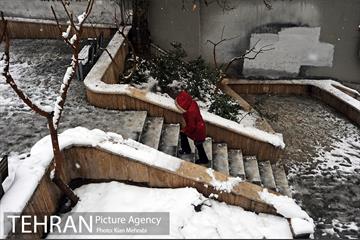 بارش برف زمستانی در تهران 36