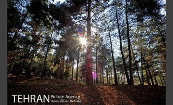 پارک جنگلی سرخه حصار 21