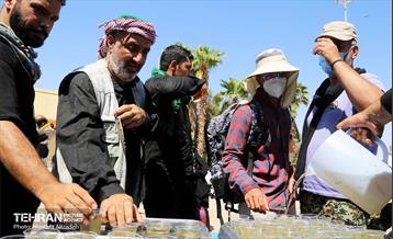 بازگشت زائران حسینی به کشور از گذرگاه مرزی خسروی 8