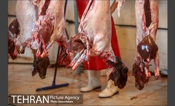 مرکز عرضه دام بهداشتی به مناسبت عید قربان در منطقه 22 تهران 14