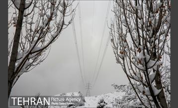برف زمستانی پارک جمشیدیه 12