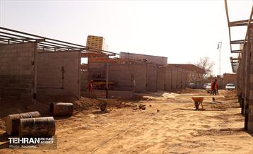 اینجا کارگاهه؛ بازار پرندگان خلیج فارس 7