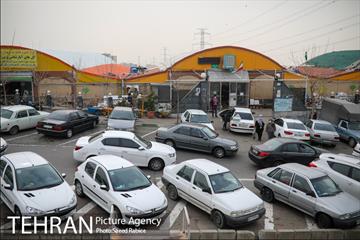 بازار گل و گیاه غرب تهران در آستانه نوروز 1