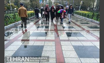 روز طبیعت بارانی در بوستان ملت 13