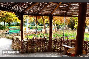 گذر پاییزی بوستان رازی 11
