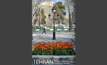 رویش گل های لاله در پارک ملت 22