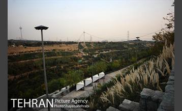 بوستان نهج البلاغه (فاز2) 17