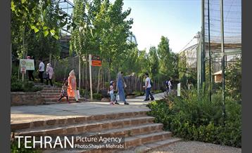 باغ پرندگان تهران 8