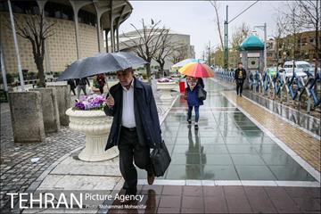 بارش باران بهاری در تهران 8