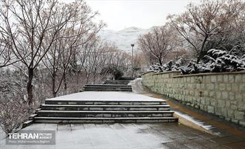 روز برفی در منطقه 22 10