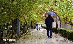یک روز پاییزی در منطقه ۱۴