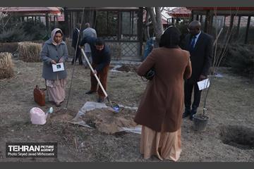 مراسم سومین آیین کاشت نهال صلح و دوستی  32