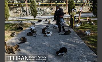 پارک ساعی 21