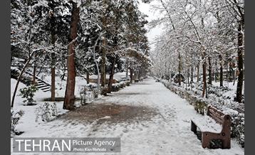 بارش برف زمستانی در تهران 14
