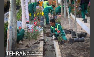 گلکاری در خیابان ولیعصر 5